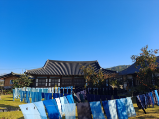 ��������, 8���� ����ü���޾縶���� ���� �������ʺ������� ����
